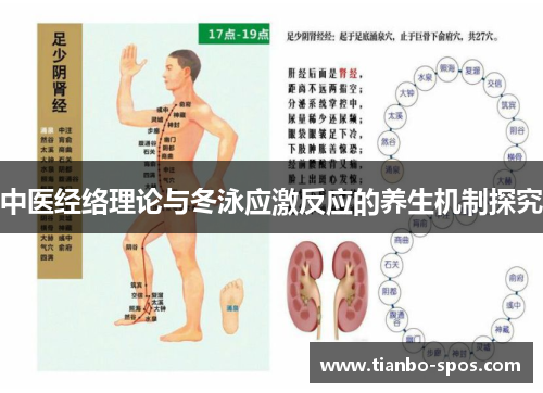 中医经络理论与冬泳应激反应的养生机制探究